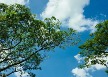 Spotkanie Informacyjne o Programie „Czyste Powietrze” w Witkowicach