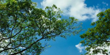 Spotkanie Informacyjne o Programie „Czyste Powietrze” w Witkowicach