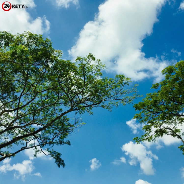 Spotkanie Informacyjne o Programie „Czyste Powietrze” w Witkowicach