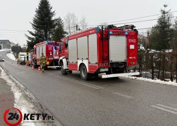 Osiek. Zagajnik miejscem tragicznego finału poszukiwań 29-letniego mężczyzny