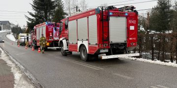 Osiek. Zagajnik miejscem tragicznego finału poszukiwań 29-letniego mężczyzny