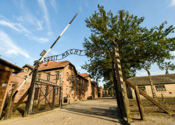 80 lat od wyzwolenia Auschwitz: głos 50 ocalałych i Delegacje z 60 Państw na uroczystościach [RELACJA NA ŻYWO]