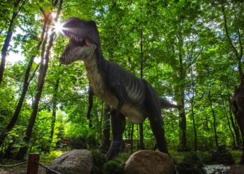 Zatorland – rozwój przez zabawę!