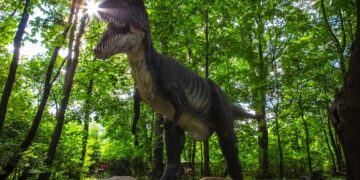 Zatorland – rozwój przez zabawę!