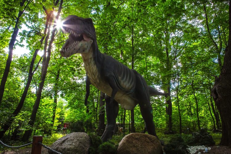 Zatorland – rozwój przez zabawę!