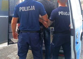 Oświęcim: Policja poszukuje świadków przestępstwa seksualnego na szkodę 10-latki