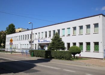 Idea LOWE – nowe podejście do uczenia się dorosłych